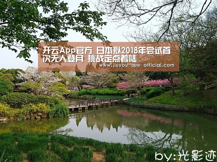 开云App官方官方入口