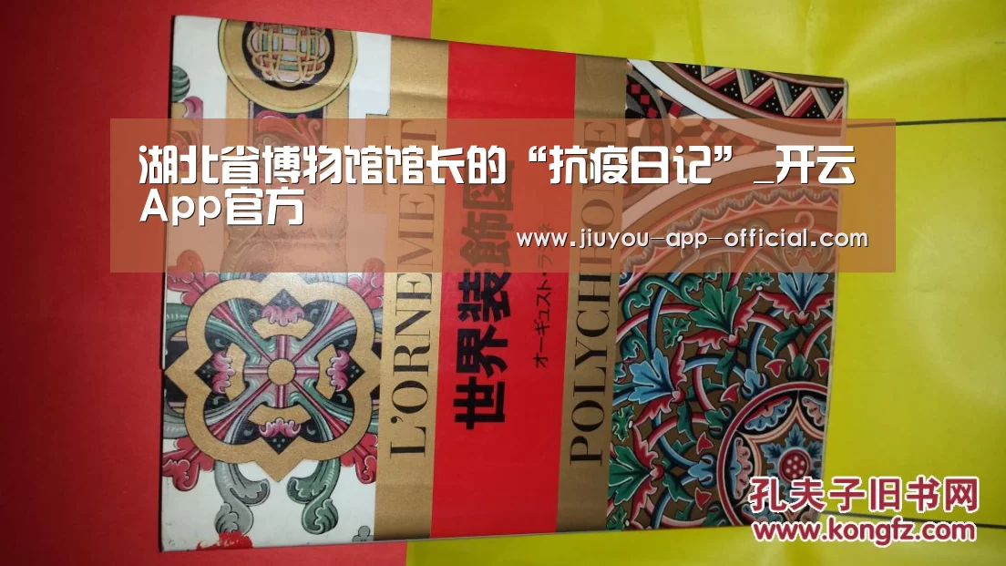 湖北省博物馆馆长的“抗疫日记”_开云App官方(图2) 开云App官方官方入口