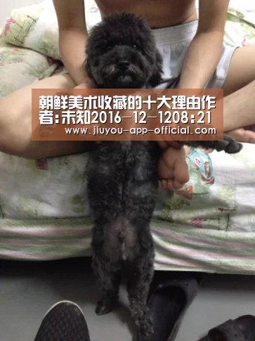 朝鲜美术收藏的十大理由作者:未知2016-12-1208:21:33来源:扬子晚报.panel-overlay{over|开云App官方官方入口(图1) 开云App官方官网