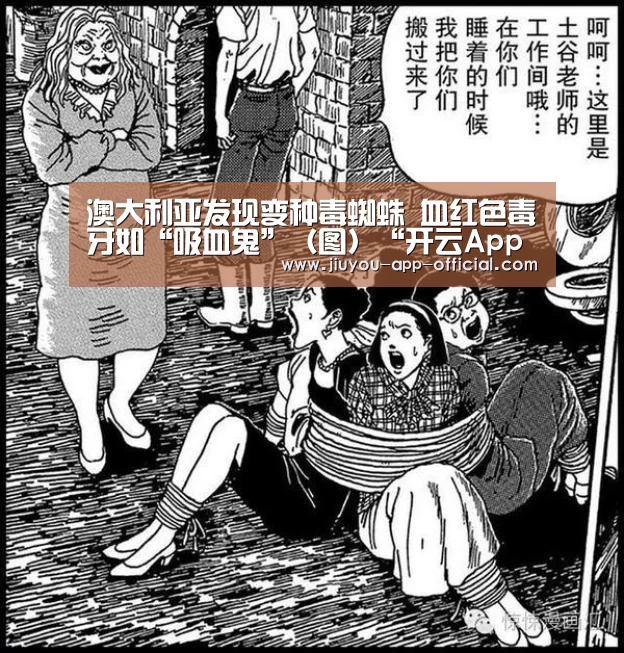 澳大利亚发现变种毒蜘蛛 血红色毒牙如“吸血鬼”(图)“开云App官方官方入口”(图3) 开云App官方官网